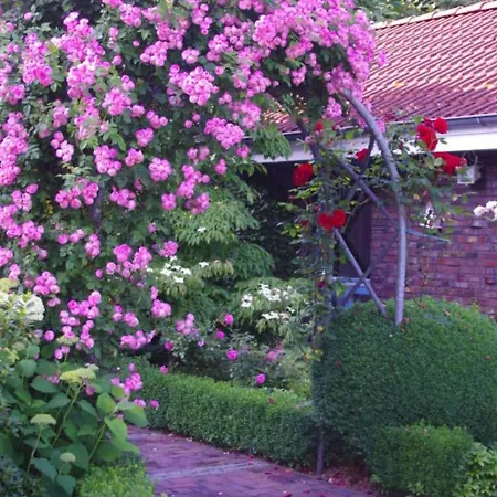 Northern Lights Prázdninový dům Oldenburg