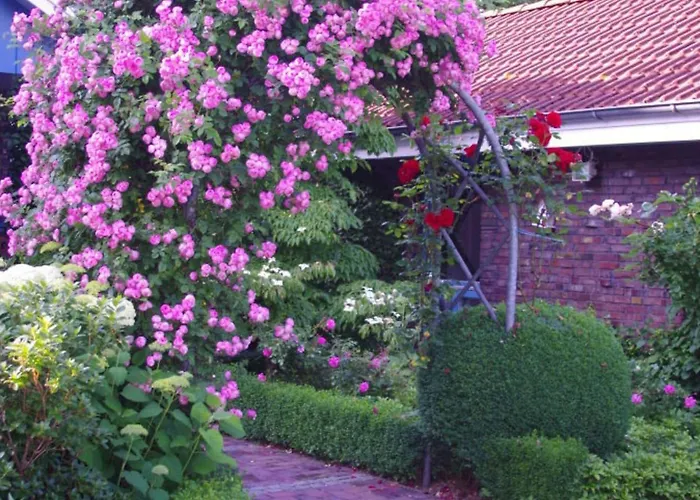 Northern Lights Feriehus Oldenburg